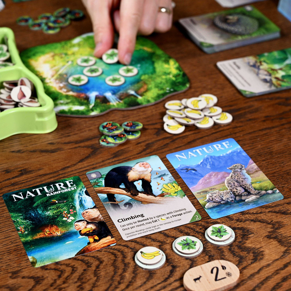 Nature Board Game