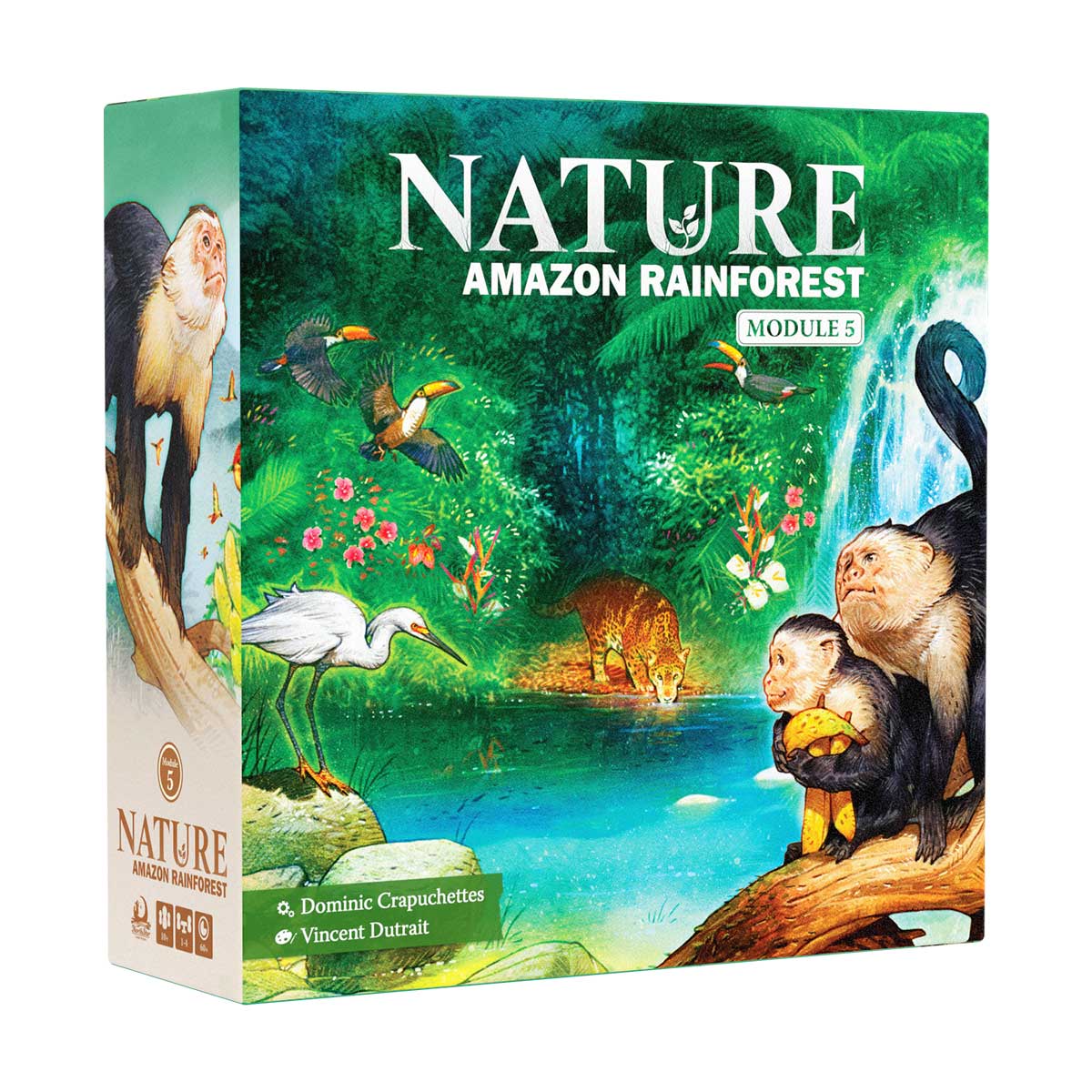 Nature Board Game - Amazon Rainforest Module 5 Box