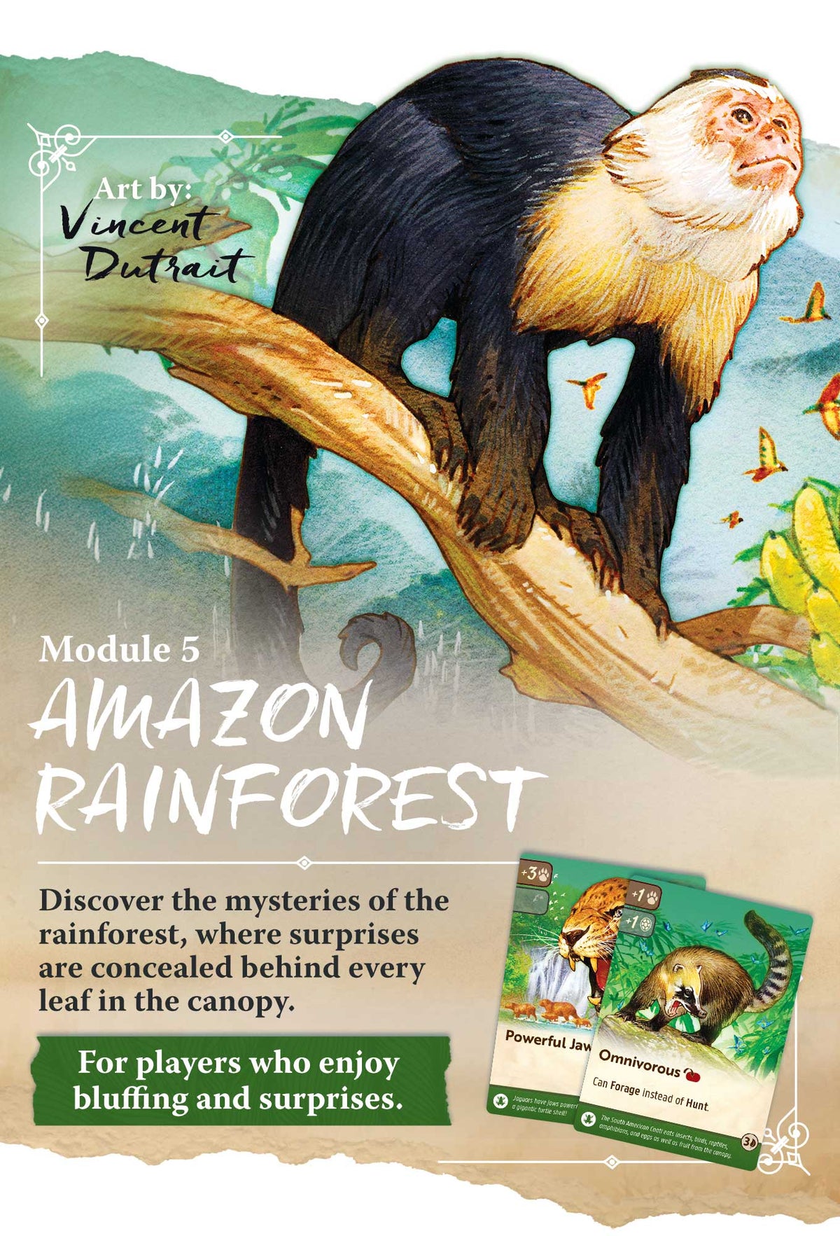 Nature: Amazon Rainforest Module