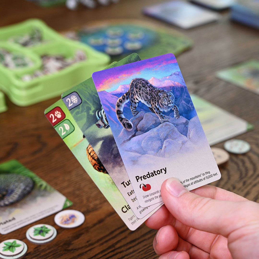 Nature Board Game Cards