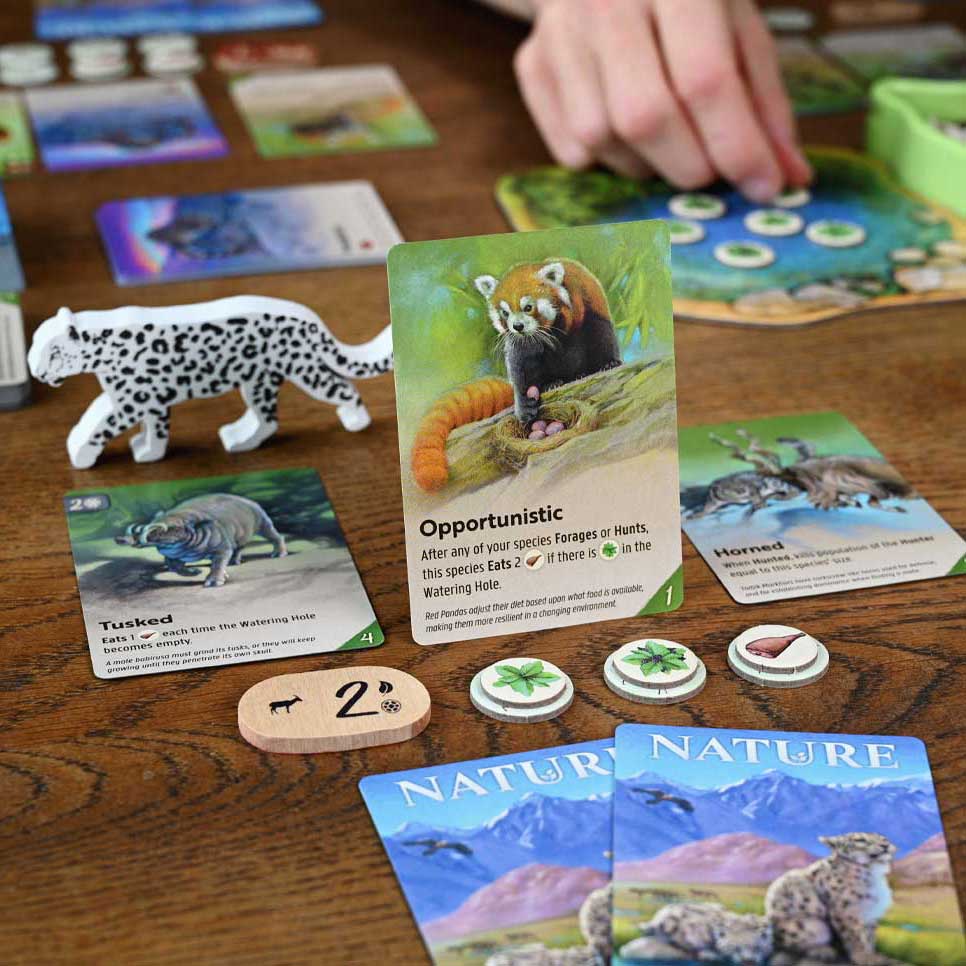 Nature Board Game In Play